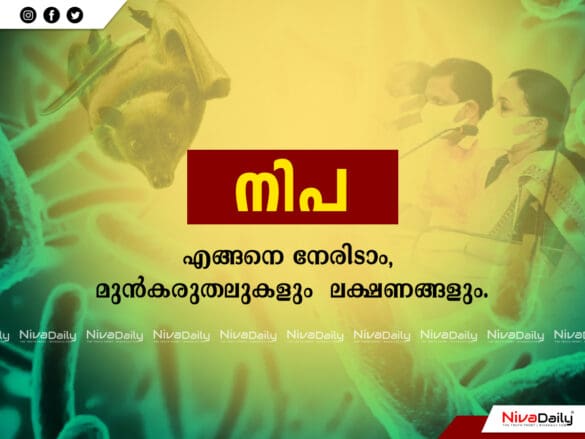 നിപ്പ നേരിടാം മുൻകരുതലുകളും ലക്ഷണങ്ങളും