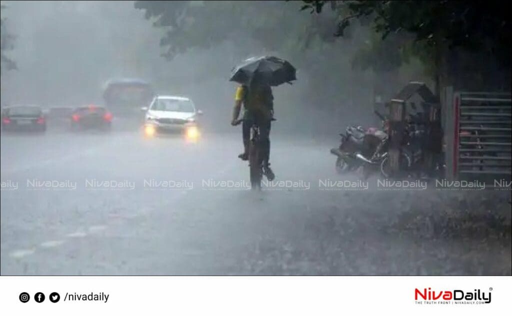 Heavy rain kerala