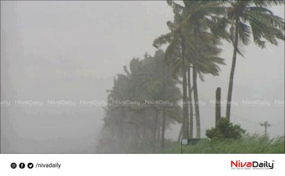 rain alert kerala