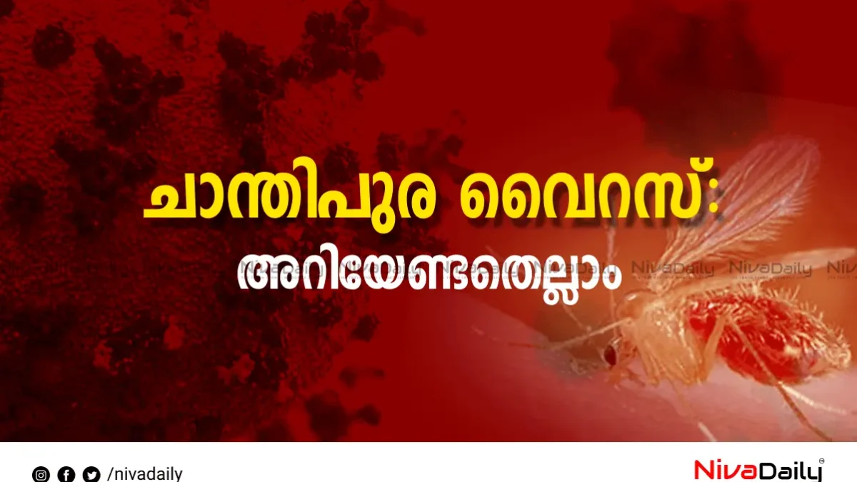 ചാന്തിപുര വൈറസ്: അറിയേണ്ടതെല്ലാം