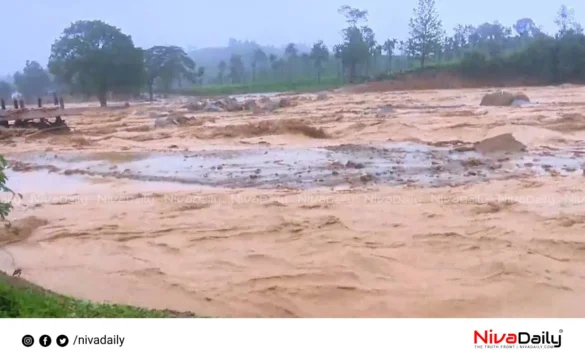 Wayanad landslide rescue operations