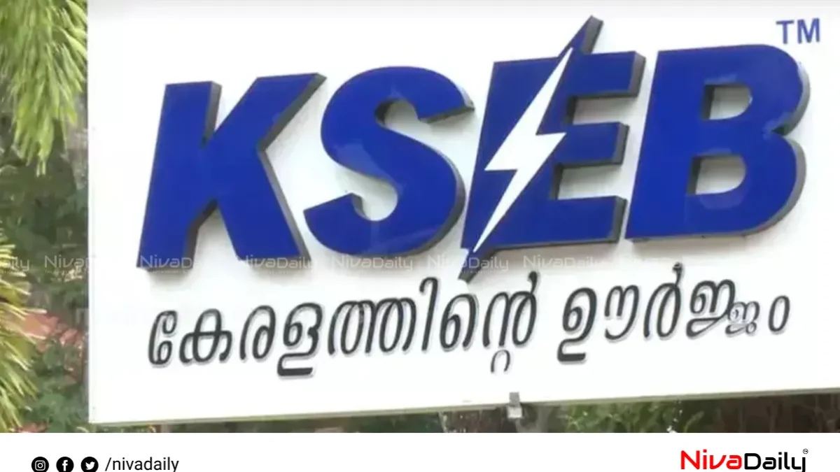 കെ.എസ്.ഇ.ബിക്കെതിരെ മനുഷ്യാവകാശ കമ്മീഷൻ കേസെടുത്തു; അന്വേഷണത്തിന് ഉത്തരവ്