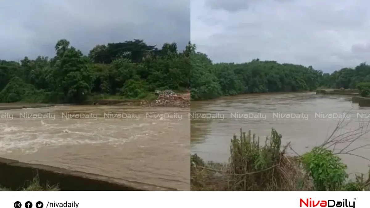 പാലക്കാട് ഗായത്രി പുഴയിൽ വിദ്യാർത്ഥി ഒഴുക്കിൽപ്പെട്ടു; രക്ഷാപ്രവർത്തനം തുടരുന്നു