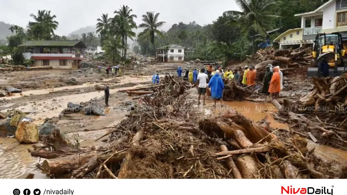 വയനാട് ഉരുൾപൊട്ടൽ: മരണസംഖ്യ 317 ആയി; തിരച്ചിൽ തുടരുന്നു