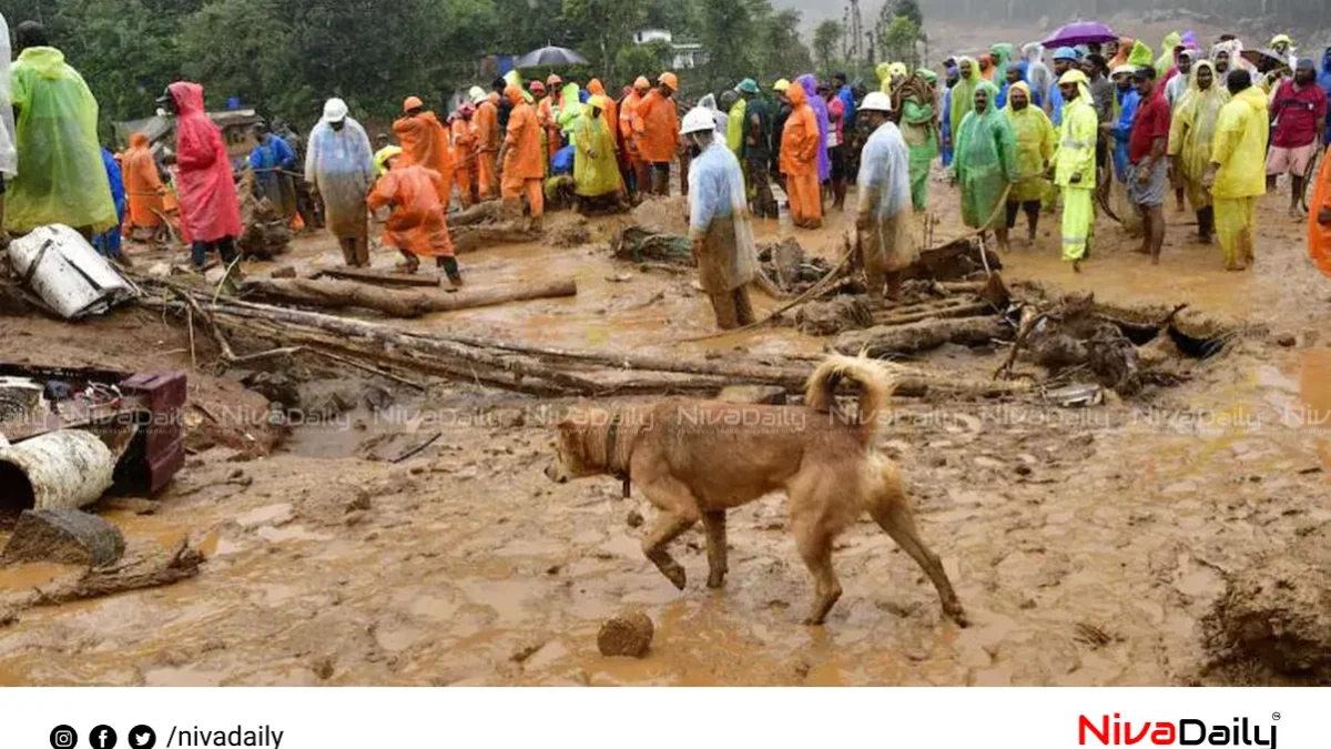 വയനാട് ഉരുൾപൊട്ടൽ: 398 മരണം സ്ഥിരീകരിച്ചു, തിരിച്ചറിയാത്തവർക്ക് കൂട്ട സംസ്കാരം