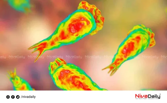 Amoebic Meningoencephalitis Thiruvananthapuram