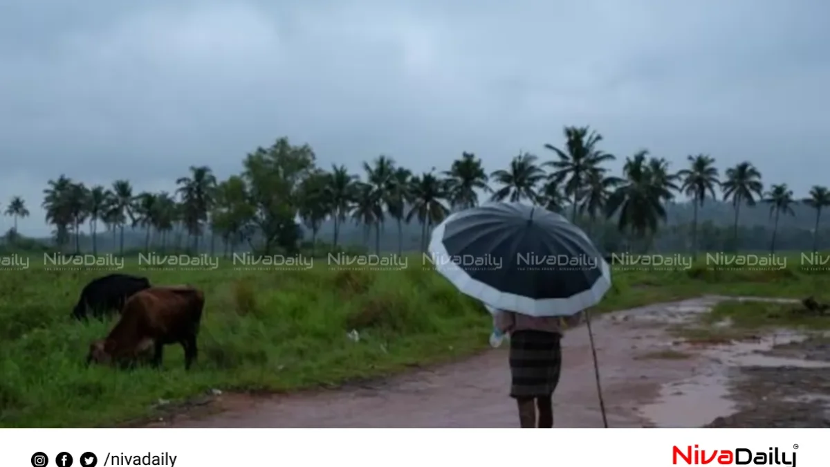 കേരളത്തിൽ കനത്ത മഴയ്ക്ക് സാധ്യത; നാല് ജില്ലകളിൽ ഓറഞ്ച് അലർട്ട്