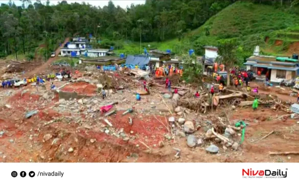 Wayanad landslide rehabilitation