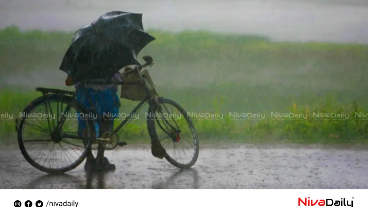 കേരളത്തിൽ ഏഴ് ജില്ലകളിൽ യെല്ലോ അലർട്ട്; ഒരാഴ്ച വ്യാപകമായ മഴയ്ക്ക് സാധ്യത