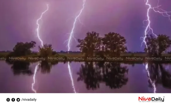 Chhattisgarh lightning strike