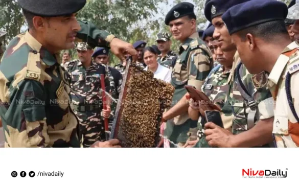 BSF beekeeping border security