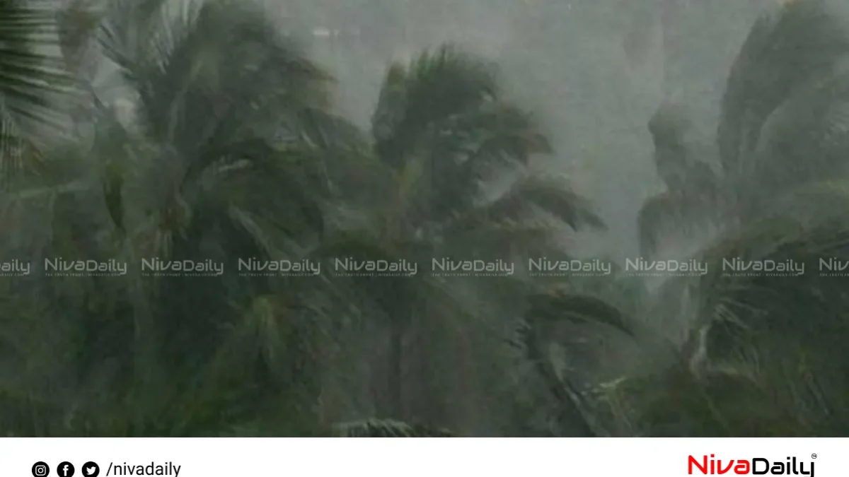 കേരളത്തിൽ ശക്തമായ മഴയ്ക്ക് സാധ്യത; 11 ജില്ലകളിൽ യെല്ലോ അലർട്ട്