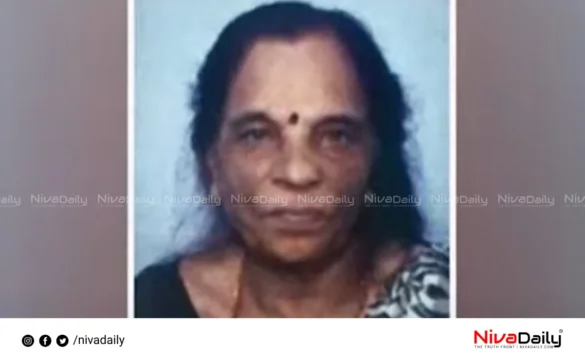 Alappuzha elderly woman murder