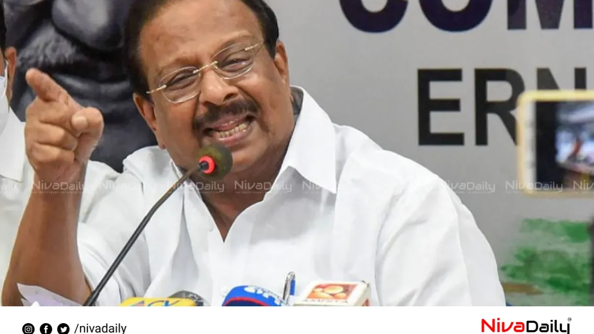 വയനാട് ദുരന്തം: രക്ഷാപ്രവർത്തന ചെലവ് കണക്കുകൾക്കെതിരെ കെ സുധാകരൻ