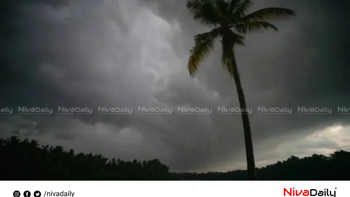 കേരളത്തിൽ 7 ദിവസം കൂടി ശക്തമായ മഴ; മൂന്ന് ജില്ലകളിൽ യെല്ലോ അലർട്ട്