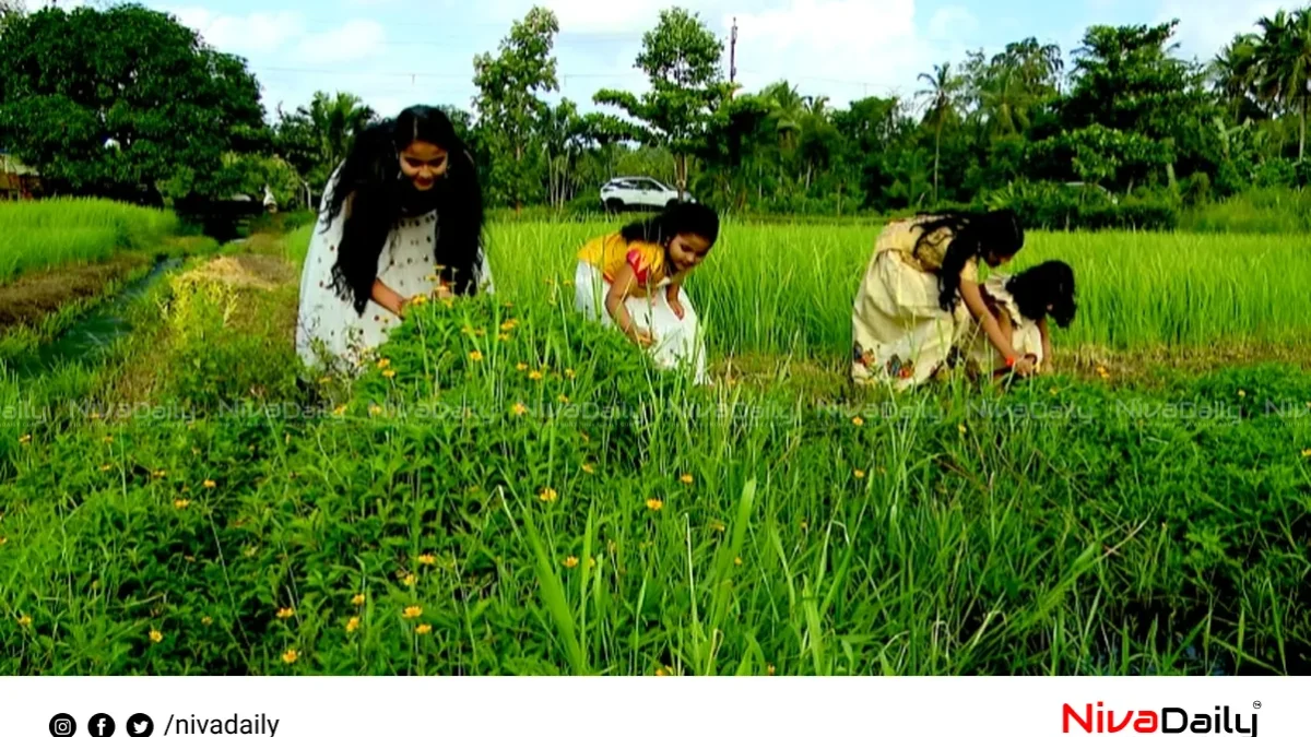 അത്തത്തോടെ പൊന്നോണത്തിന്റെ വരവ്: പത്തു ദിവസത്തെ ആഘോഷത്തിന് തുടക്കം