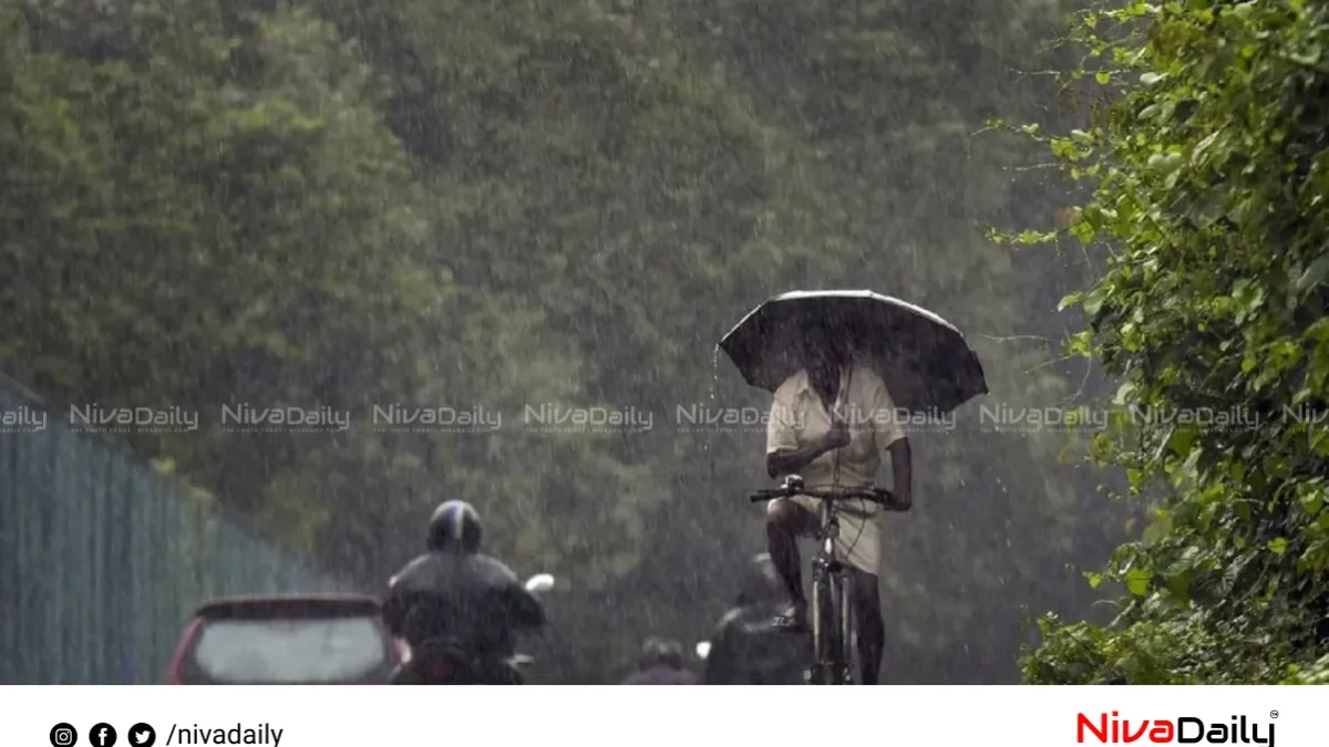 കേരളത്തിൽ 9 ജില്ലകളിൽ യെല്ലോ അലർട്ട്; ശക്തമായ മഴയ്ക്ക് സാധ്യത